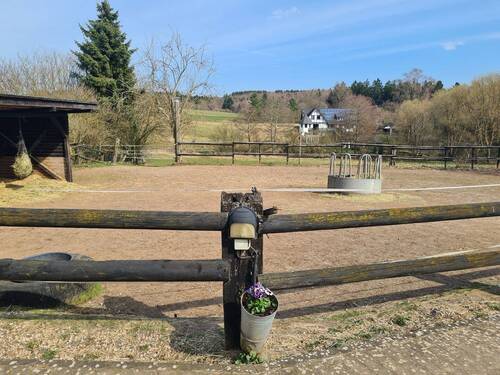 Bild 4 - Einfamilienhaus mit 158,00 m&sup2; in Blankenheim zum Kaufen