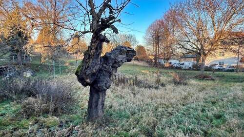 Garten im Winter - Einfamilienhaus mit 90,00 m&sup2; in Teuchern zum Kaufen