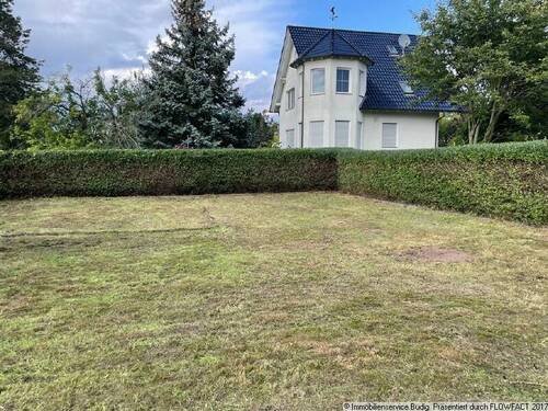 Garten - zukünftiges hinteres Grundstück - 