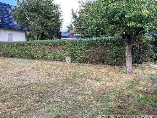 Garten - zukünftiges hinteres Grundstück - 