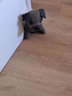 Freundlicher Wachhund.jpg - 