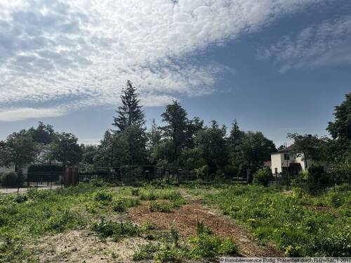 Blick von der hinteren Grunstücksgrenze - 