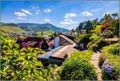Wohnen am Schlossberg - Wohnhaus & Airbnb! 6 Appartements, Terrassen, Lagerräume, Stellplätze!