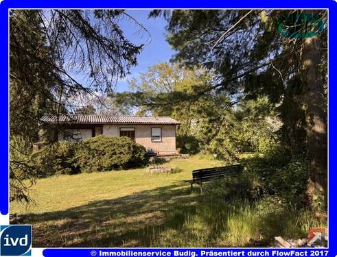 Blick auf das Grundstück mit Bungalow - Zwei nebeneinander liegende Grundstücke mit Südausrichtung