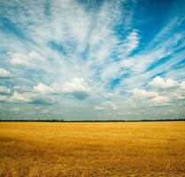 Gewerbegrundstück in Wettstetten zu verkaufen