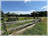 große Wiese - 