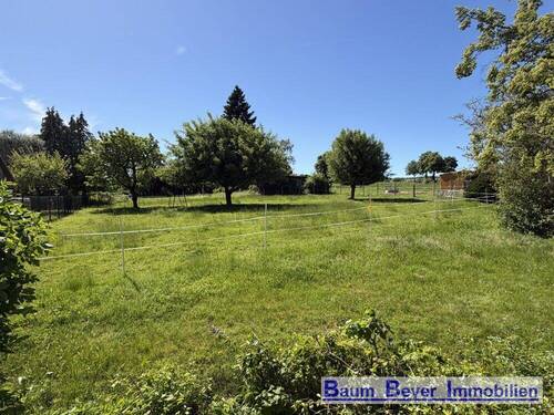 Ausblick in den Garten - 