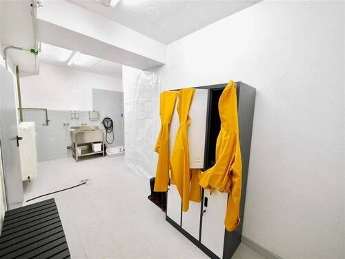 Raum 5 - 