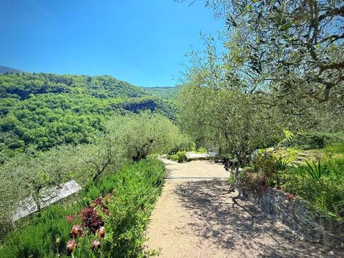 AP1010_20_TERRA ITALIA IMMOBILIEN_LIGURIEN_APRICAL - 