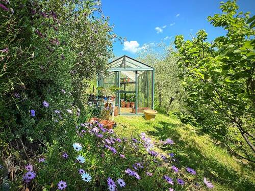 AP1010_07_TERRA ITALIA IMMOBILIEN_LIGURIEN_APRICAL - 