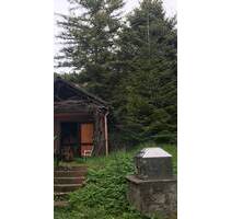 Freizeitgrundstück mit eigener Quelle und genehmigter Hütte - Boxberg Wölchingen