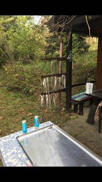 IMG_20231003_113722_114.jpg - 