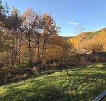 Ein Ort, der entschleunigt - Ihr Rückzugsort mitten in der Natur bei Kordel - Ferienhaus