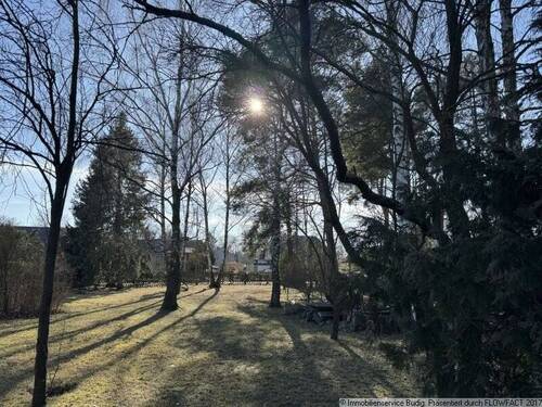 Blick vom Grundstück zur Straße - 