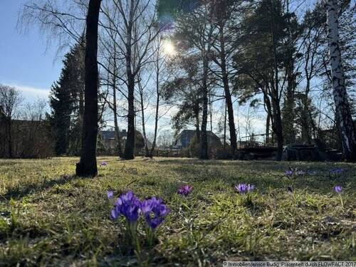 Frühlingsimpressionen - 