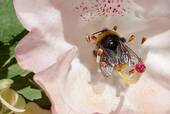 Herzlich willkommen ! - 