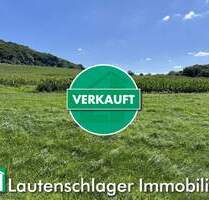 Hektar besteht....! Ackerfläche in Neumarkt - Neumarkt in der Oberpfalz