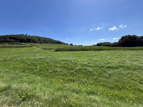 unterhalb Wolfstein - Grundstück zum Kaufen in Neumarkt in der Oberpfalz