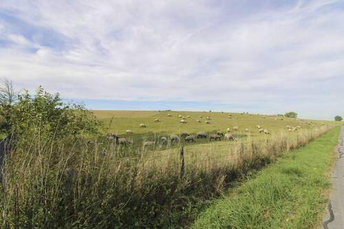 Ihre Nachbarn - 4 Zimmer Einfamilienhaus zum Kaufen in Xanten