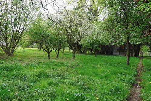 Wiese mit Bienenhaus - 