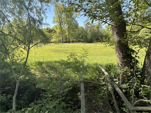 9.937 m² Grünfläche - 