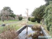Gartenteich/ Blick in den Garten - 