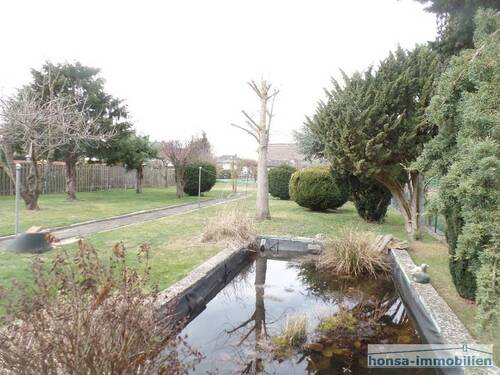 Gartenteich/ Blick in den Garten - 