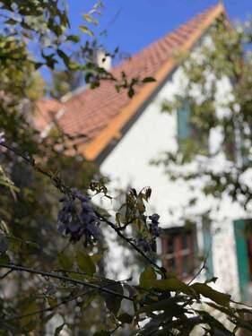 Außen/Terrasse - 