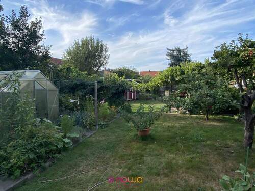 Garten mit Gewächshaus - 