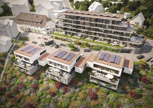 Bird1_Süd-Ost - 2 Zimmer Etagenwohnung in Laufenburg (Baden)