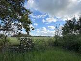 Ausblick - 