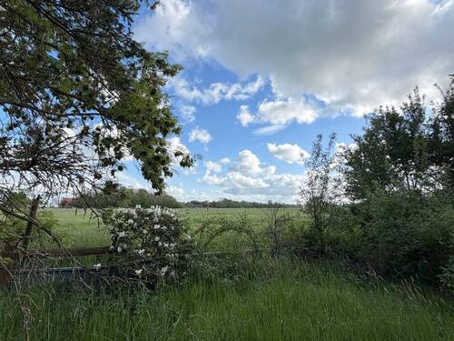Ausblick - 