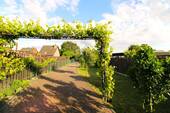 Garten - 6 Zimmer Reihenmittelhaus zum Kaufen in Heinsberg