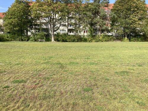 Grundstück Zwickau - Grundstück in Zwickau zum Kaufen