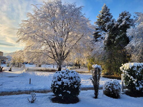  Garten - Terasse Süd 3 - 
