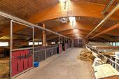 Stallungen - 