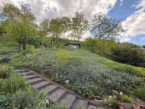 IMG_8565.jpeg - Mehrfamilienhaus, Wohnhaus mit 250,00 m² in Weißenfels zum Kaufen