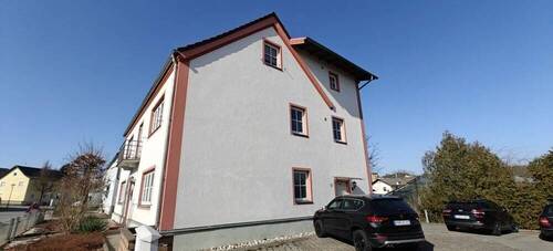 IMG20250307102832.jpg - 