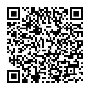 QR-Code - 