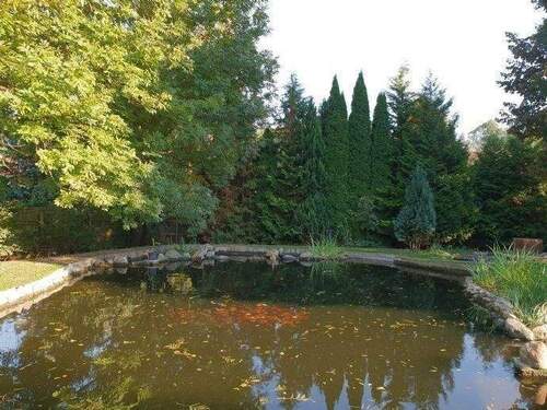 Gartenteich - 
