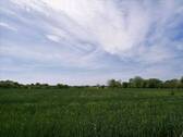 Bild 12 - 