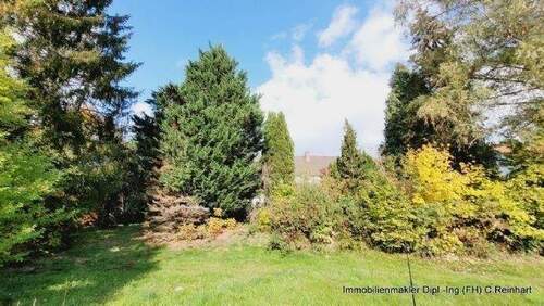 Bild 11 - 