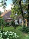 Terrasse - Einfamilienhaus mit 250,00 m² in Boltersen zum Kaufen