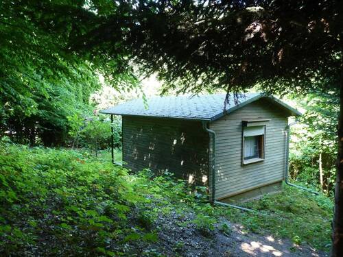 Blick auf das Grundstück - 2 Zimmer Bungalow zum Kaufen in Grimma OT Golzern