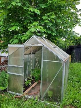 Gewächshaus - 