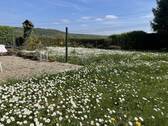 Garten 2 - 