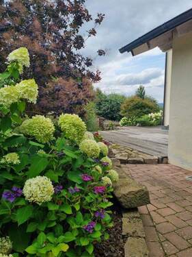 Bild 12 - 