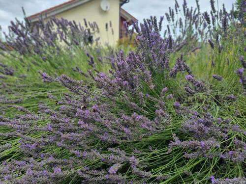 Bild 20 - 