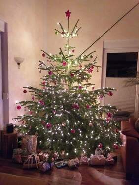 Bild 9 - 