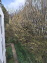 Ausblick - 